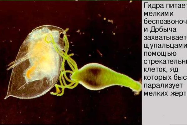 Как зайти в кракен