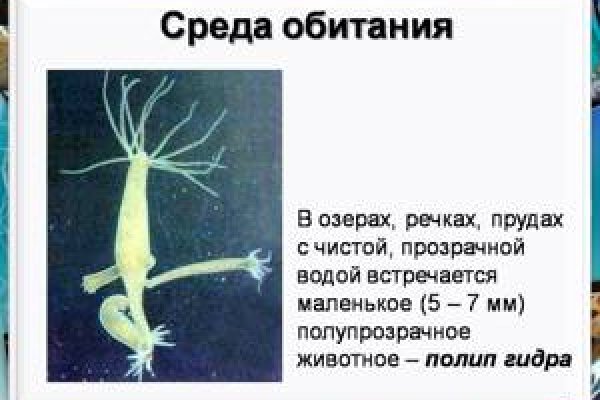 Кракен ссылка рп