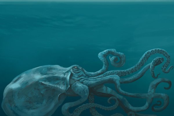 Kraken сайт даркнет